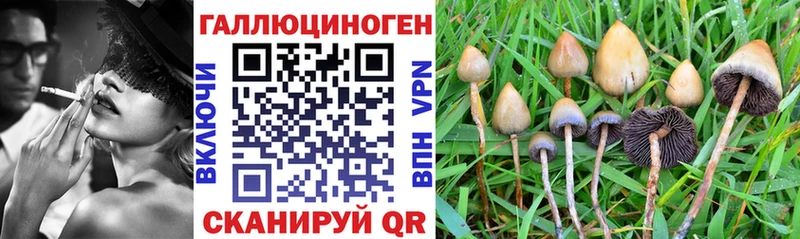 Галлюциногенные грибы Magic Shrooms  даркнет сайт  Окуловка 